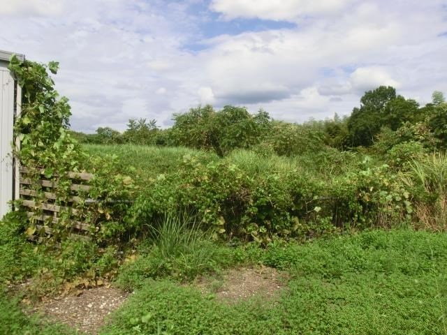 奈良県天理市櫟本町土地6