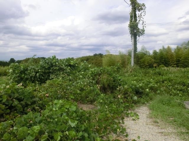 奈良県天理市櫟本町土地11