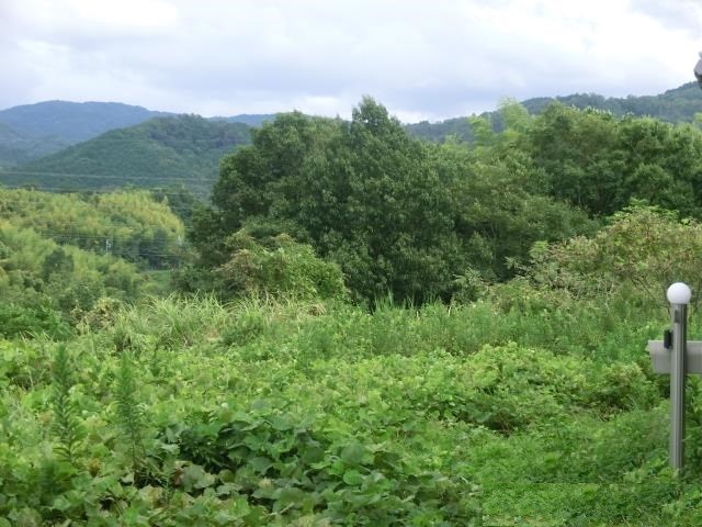 奈良県天理市櫟本町土地14