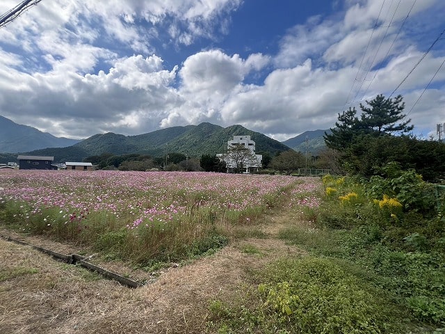 兵庫県丹波市氷上町清住売土地1