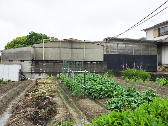 目の前は田んぼです。