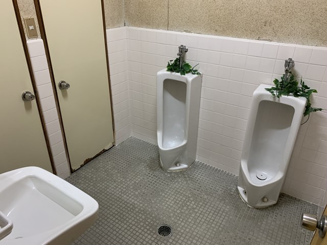 中２階の一番手前が 中２階トイレです。