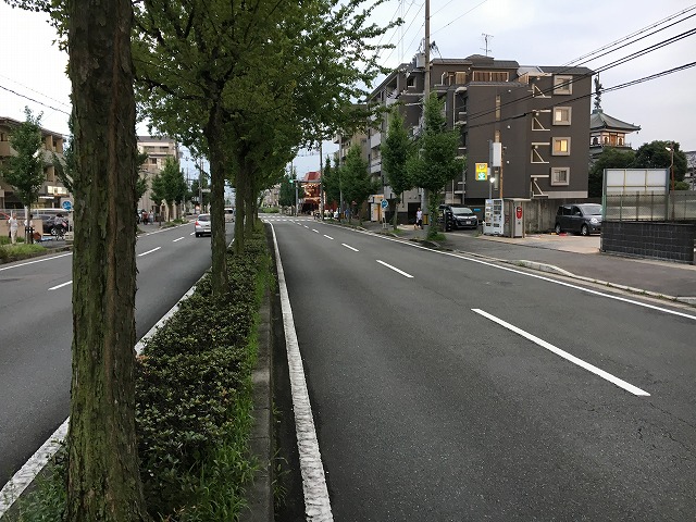 前面道路です。