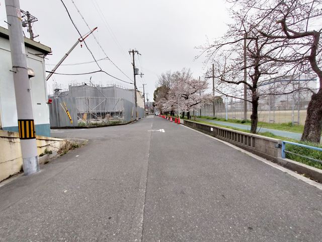 すぐ隣が大きな公園になっております。