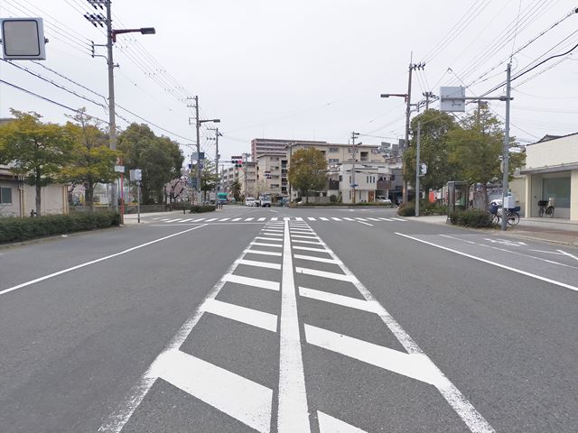 前面道路はとても広めです。
