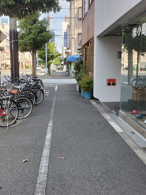 反対側から見た画像