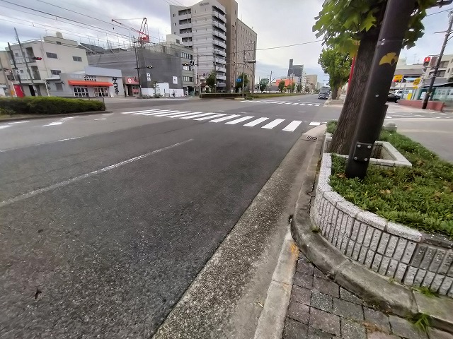 道路広めなので車の入出庫がしやすいです