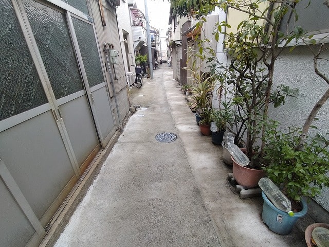 前面の道です