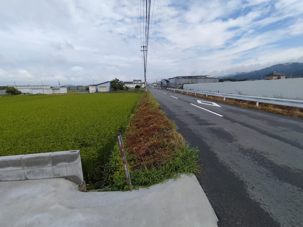 前面道路になります