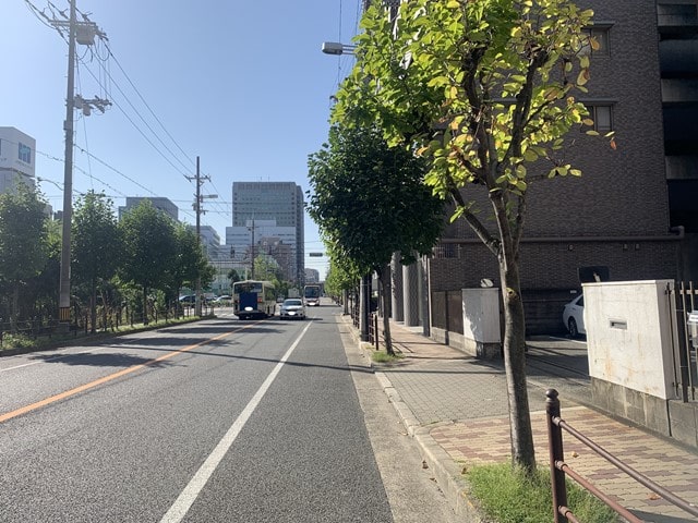 大型車規制はありません。